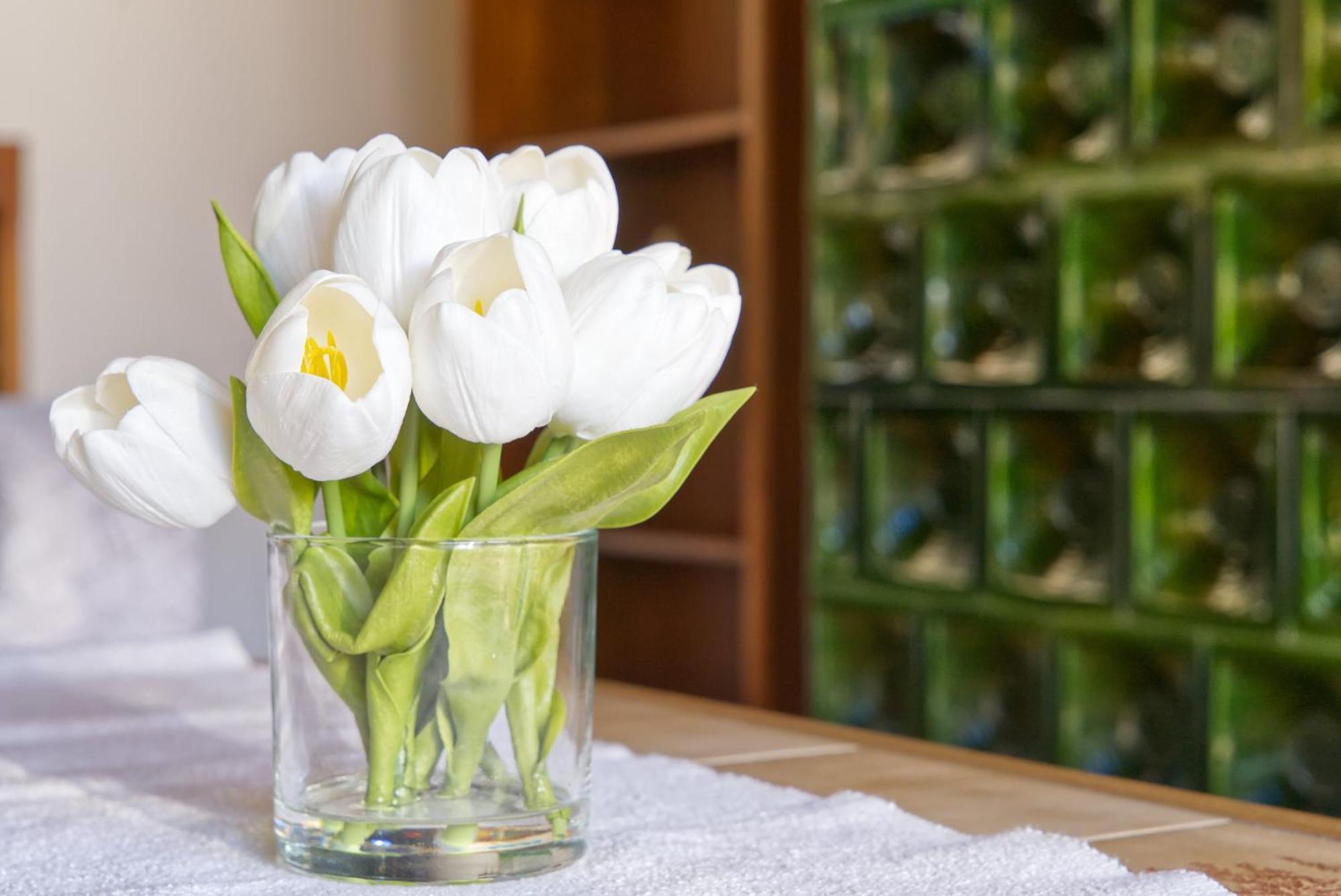 Castle Way Apartments Tamy 블레드 외부 사진