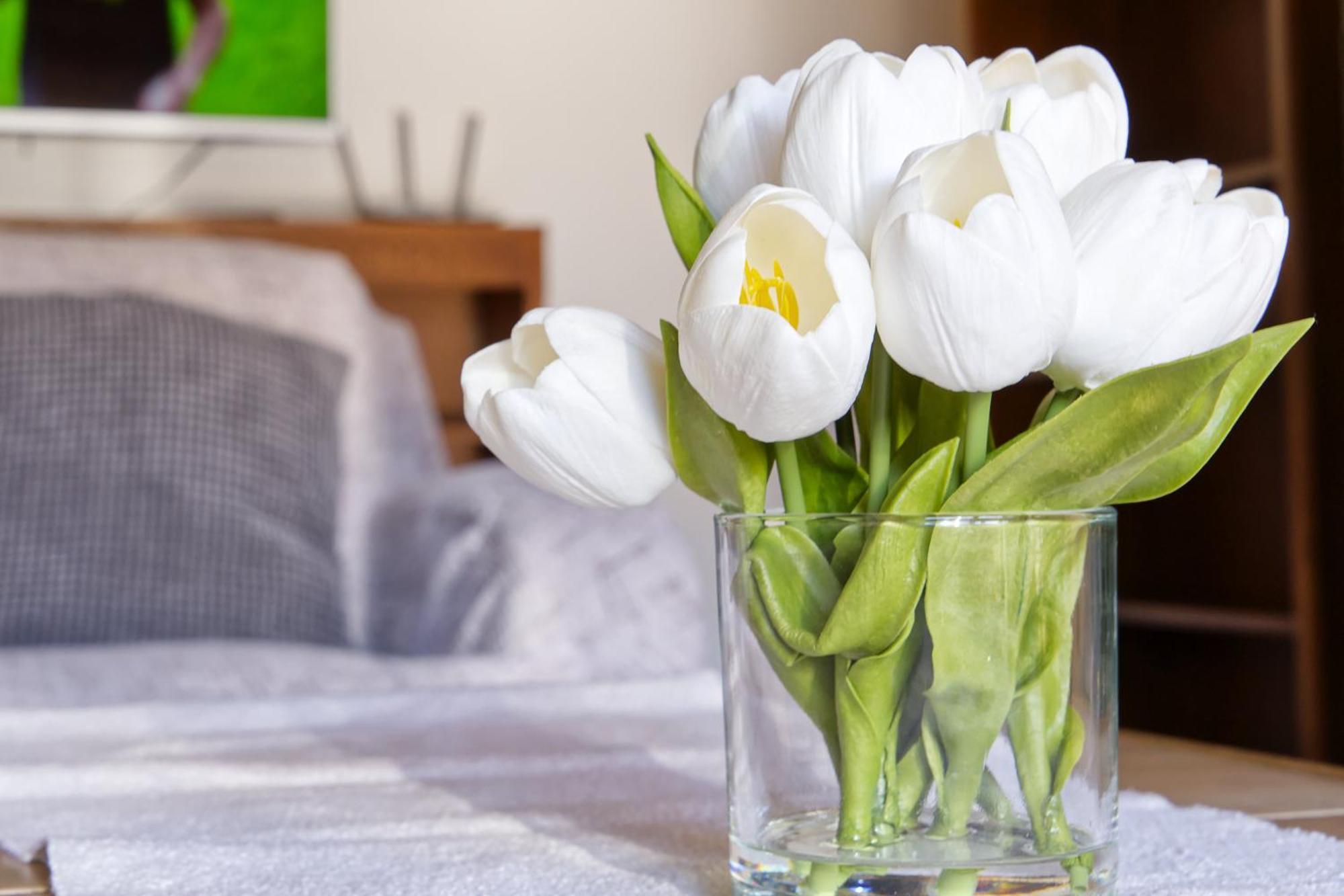 Castle Way Apartments Tamy 블레드 외부 사진